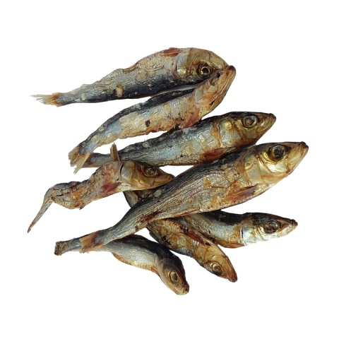 Szprotki Bałtyckie przysmak dla psa 100g GACZOO 100% naturalny gryzak Szprotki Bałtyckie przysmak dla psa 100g GACZOO 100% naturalny gryzak