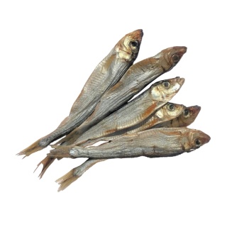 Szprotki Bałtyckie przysmak dla psa 60g GACZOO 100% naturalny gryzak