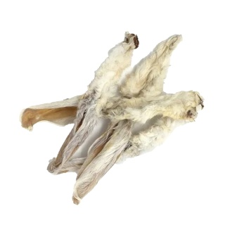 Ucho Królicze z futrem przysmak dla psa 10 szt GACZOO 100% naturalny gryzak