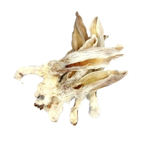 Ucho Królicze z futrem przysmak dla psa 20 szt GACZOO 100% naturalny gryzak Ucho Królicze z futrem przysmak dla psa 20 szt GACZOO 100% naturalny gryzak