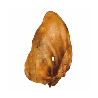 Ucho Wieprzowe Duże XL przysmak dla psa 1 szt GACZOO 100% naturalny gryzak