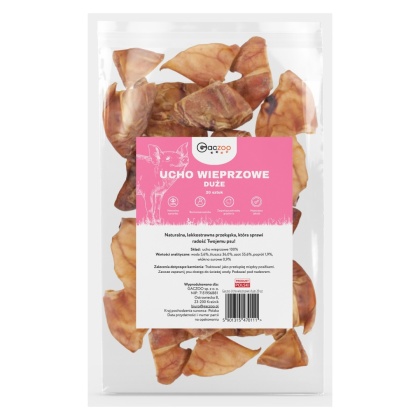 Ucho Wieprzowe Duże XL przysmak dla psa 20 sztuk GACZOO 100% naturalny