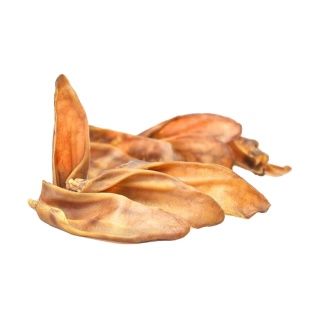 Ucho Wieprzowe przysmak dla psa 20 szt GACZOO 100% naturalny smakołyk