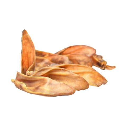 Ucho Wieprzowe przysmak dla psa 20 szt GACZOO 100% naturalny smakołyk