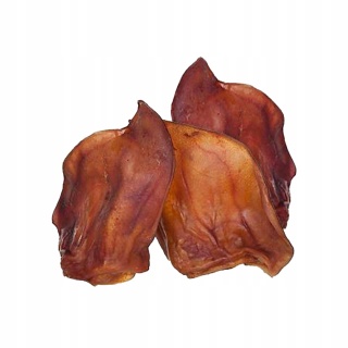 Ucho Wieprzowe XL przysmak dla psa 10 sztuk GACZOO 100% naturalny smakołyk