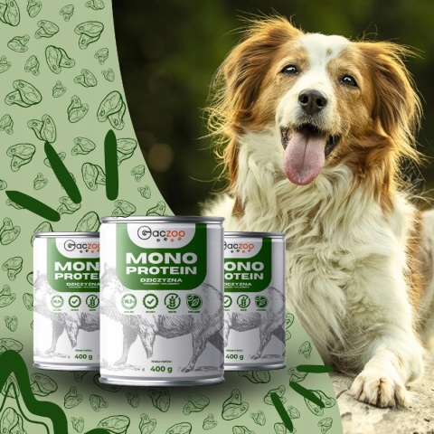 Monobiałkowa karma mokra dla psa Dzik 6 x 400g Gaczoo Mono Protein
