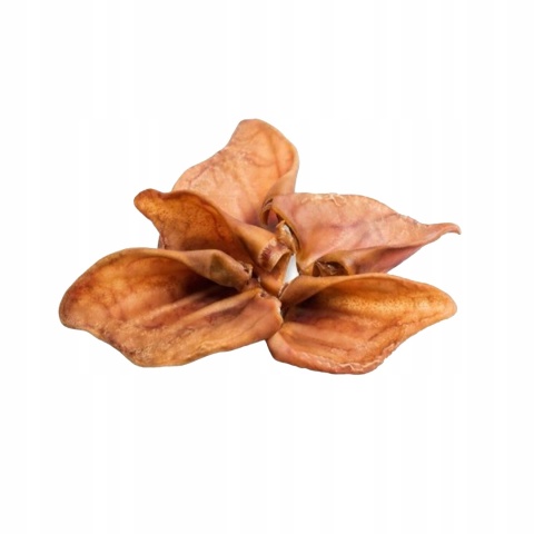 Naturalny przysmak dla psa Ucho Wieprzowe rozmiar M 5 sztuk smaczki gryzaki gaczoo