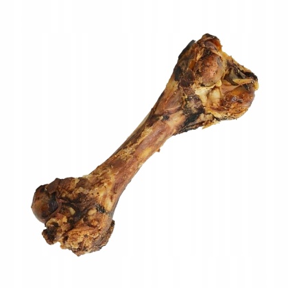 Przysmak dla psa Kość szynkowa wieprzowa 1 szt GACZOO naturalny gryzak
