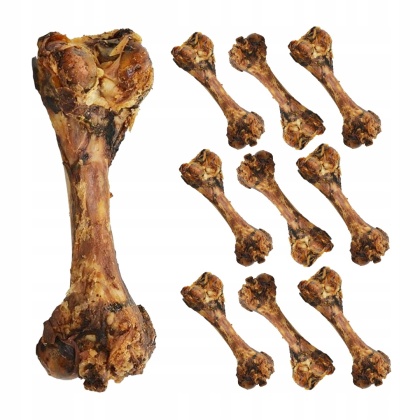 Przysmak dla psa Kość szynkowa wieprzowa 10 szt GACZOO naturalny gryzak