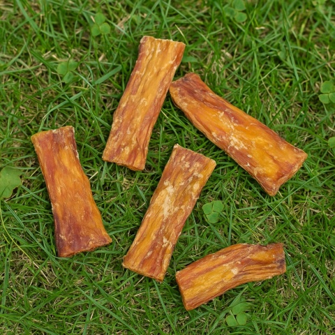 Przysmak dla psa Ścięgno Wołowe karkowe 100g GACZOO naturalny gryzak