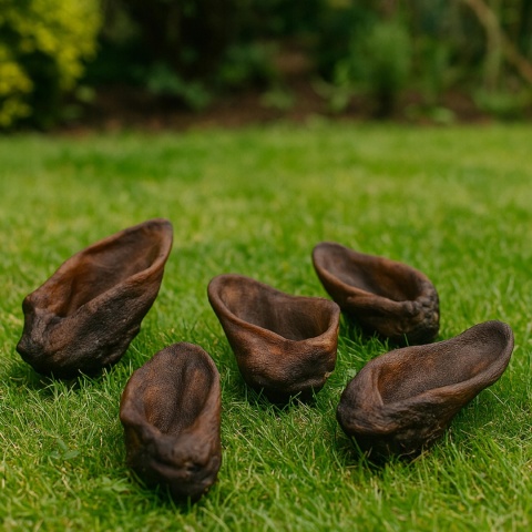 Przysmak dla psa Ucho Dzika bez włosa 10 szt GACZOO naturalny gryzak