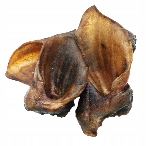 Przysmak dla psa Ucho Dzika bez włosa 5 szt GACZOO naturalny gryzak