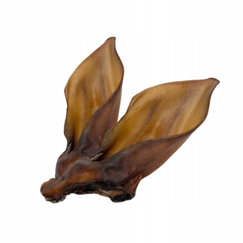 Przysmak dla psa Ucho Jelenia bez włosa 10 szt GACZOO naturalny gryzak