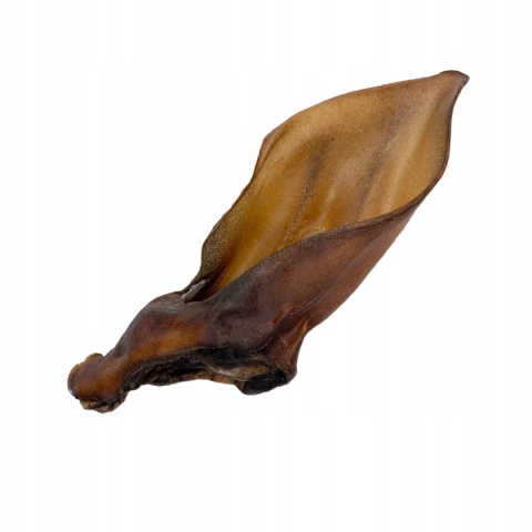 Przysmak dla psa Ucho Jelenia bez włosa 2 szt GACZOO naturalny gryzak