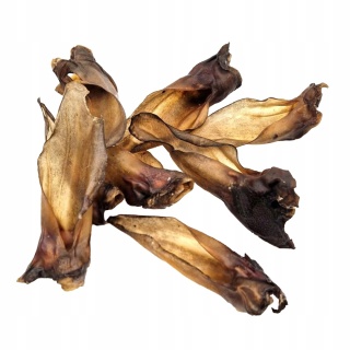 Przysmak dla psa Ucho Sarny bez włosa 10 szt GACZOO naturalny gryzak