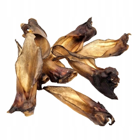 Przysmak dla psa Ucho Sarny bez włosa 10 szt GACZOO naturalny gryzak