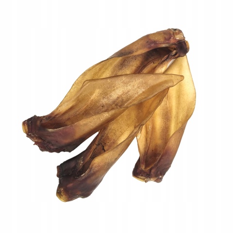 Przysmak dla psa Ucho Sarny bez włosa 5 szt GACZOO naturalny gryzak