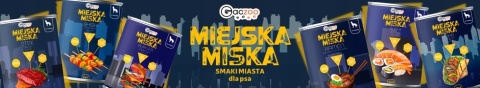 Gaczoo Miejska Miska bezzbożowa karma mokra dla psa Stek Wołowy 400g