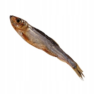 Przysmak dla kota Szprotki Bałtyckie 50g GACZOO 100% naturalny gryzak