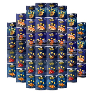 Gaczoo Miejska Miska bezzbożowa karma mokra dla psa Mix smaków 42 x 400g