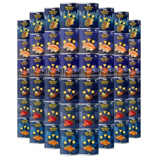 Gaczoo Miejska Miska bezzbożowa karma mokra dla psa Mix smaków 48 x 400g