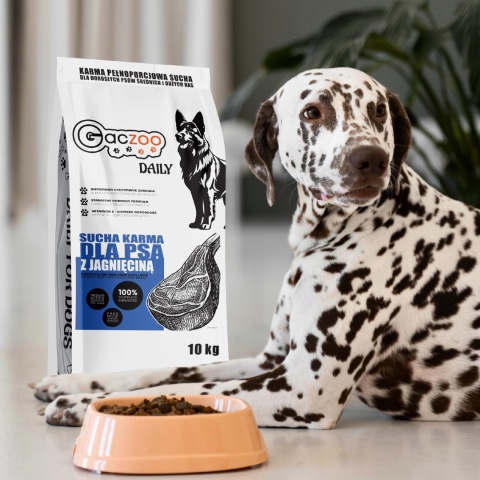 Sucha karma dla psa Gaczoo Daily Mix smaków 2 x 10 kg Adult Dog Witaminy