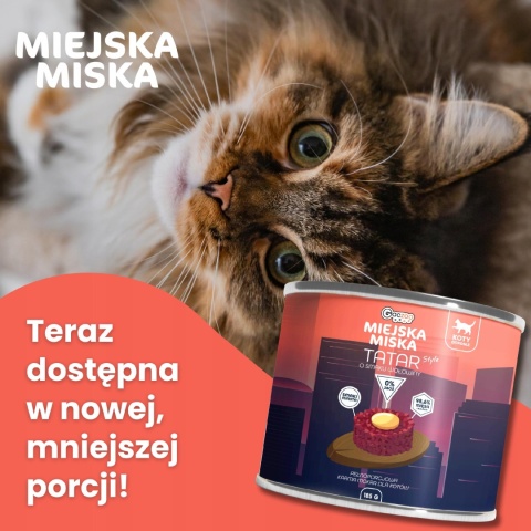 Karma mokra dla kota Miejska Miska Gaczoo Tatar Wołowina 185g bezzbożowa