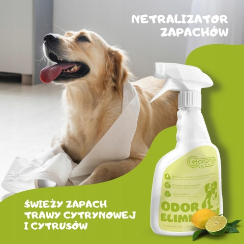 Neutralizator moczu kota odświeżacz powietrza Cytrusy Gaczoo 2 x 500ml