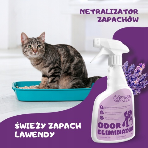 Neutralizator zapachu moczu kota odświeżacz powietrza Lawenda Gaczoo 500ml