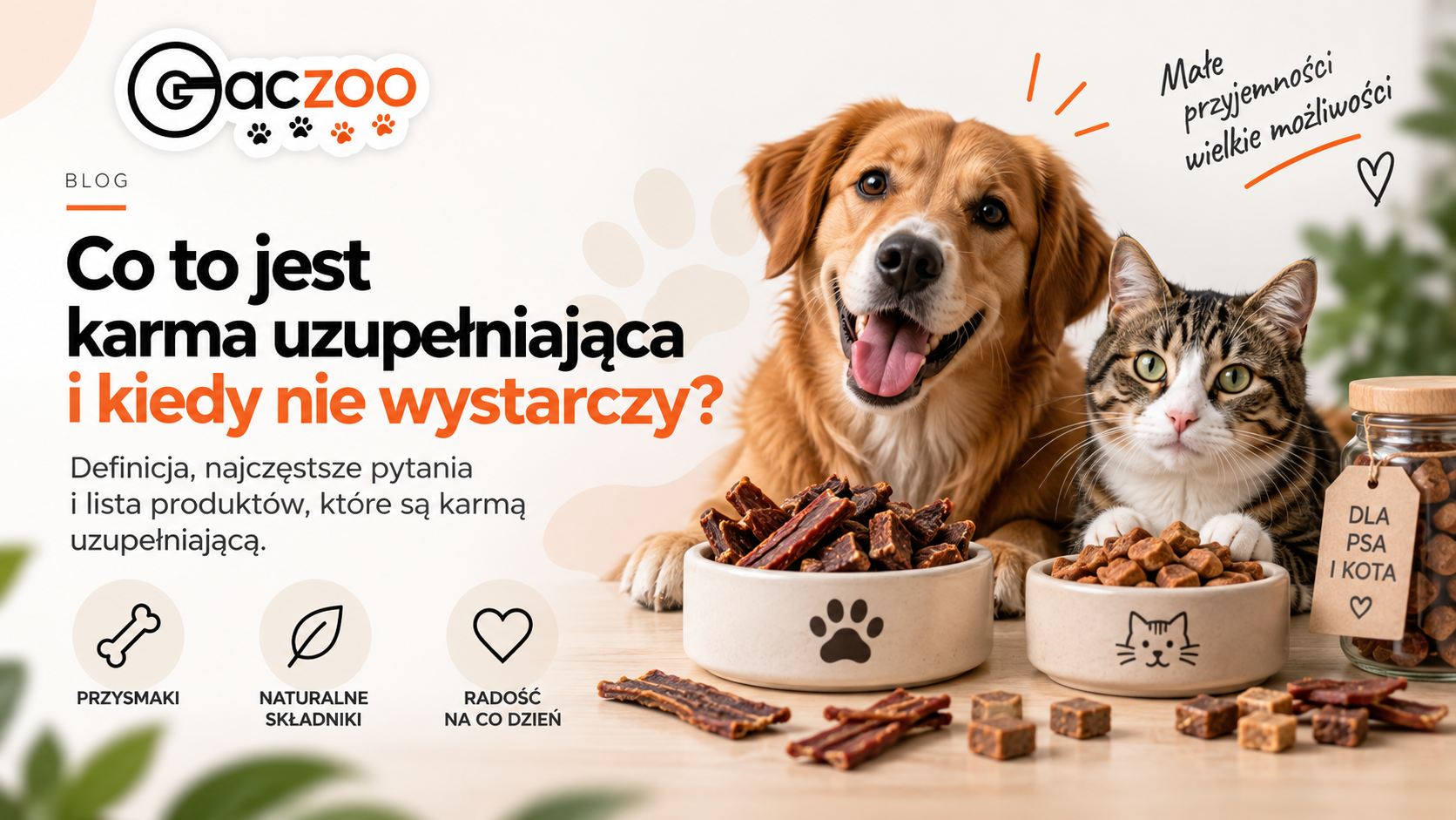 Co to jest karma uzupełniająca i kiedy nie wystarczy? Przewodnik żywieniowy.