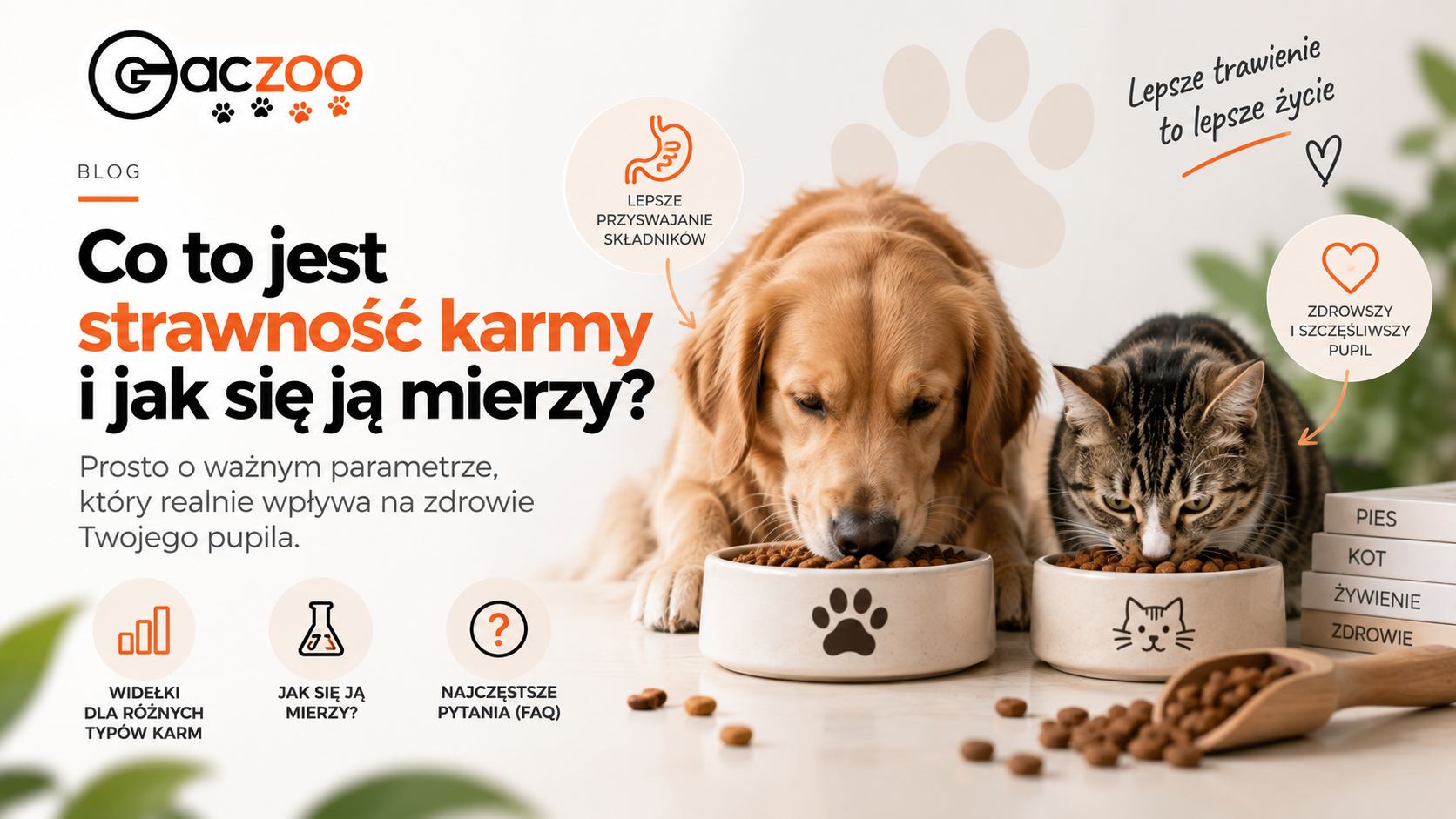 Co to jest strawność karmy i jak się ją mierzy? Praktyczny poradnik marki Gaczoo.